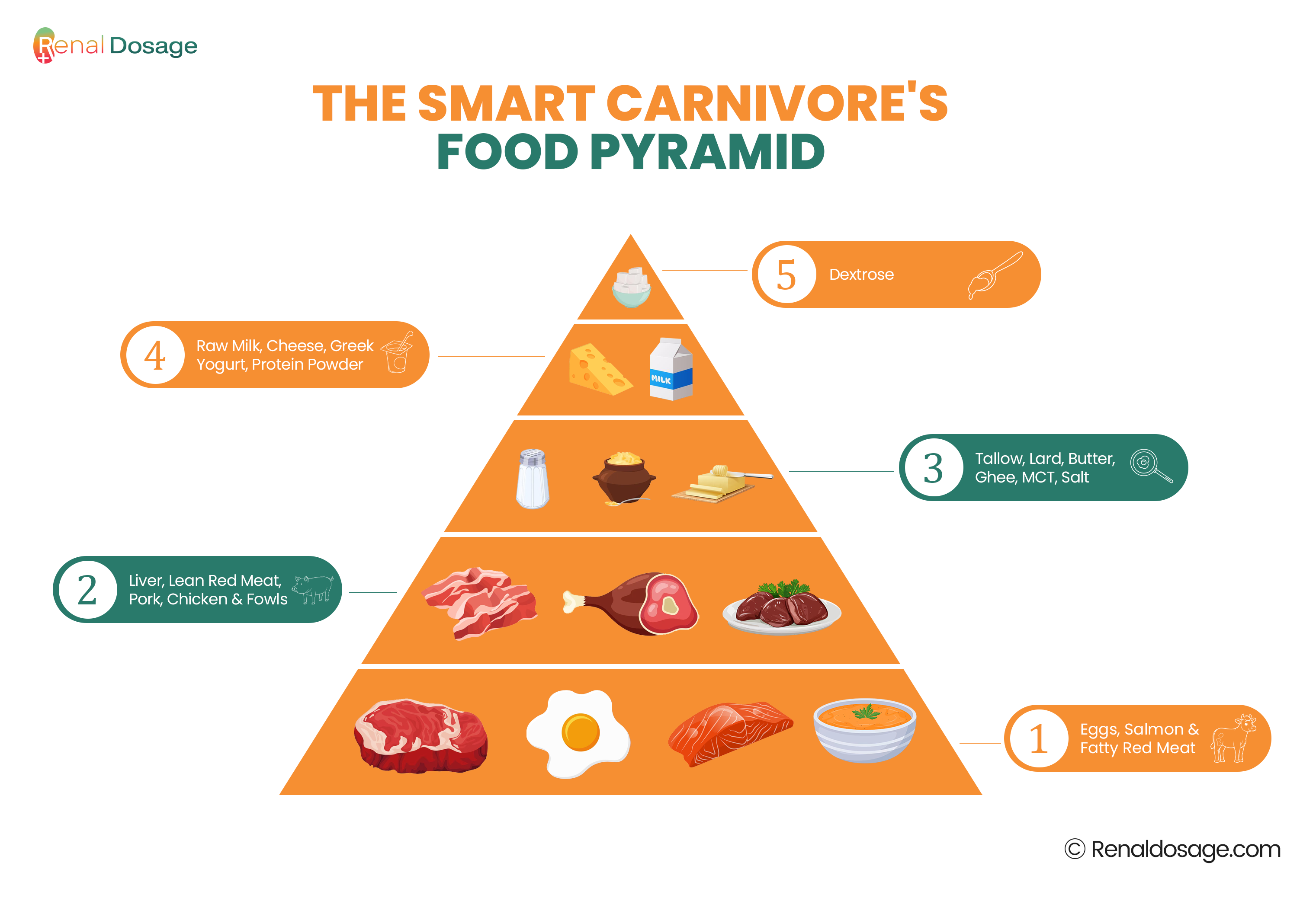 THE SMART CARNIVORE'S FOOD PYRAMID